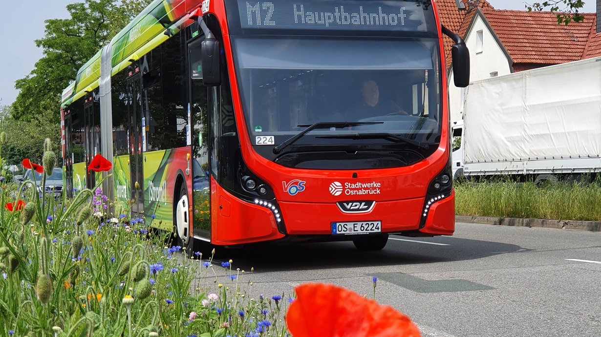 Bus mit Blume