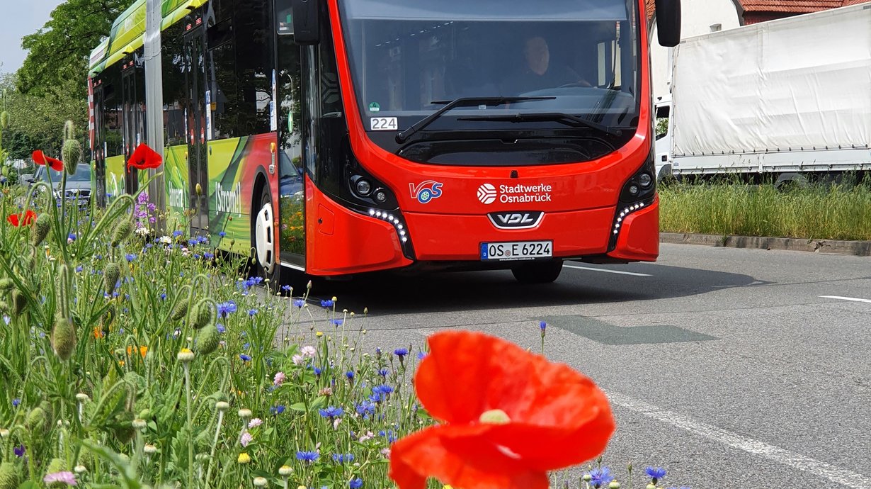 Bus mit Blume